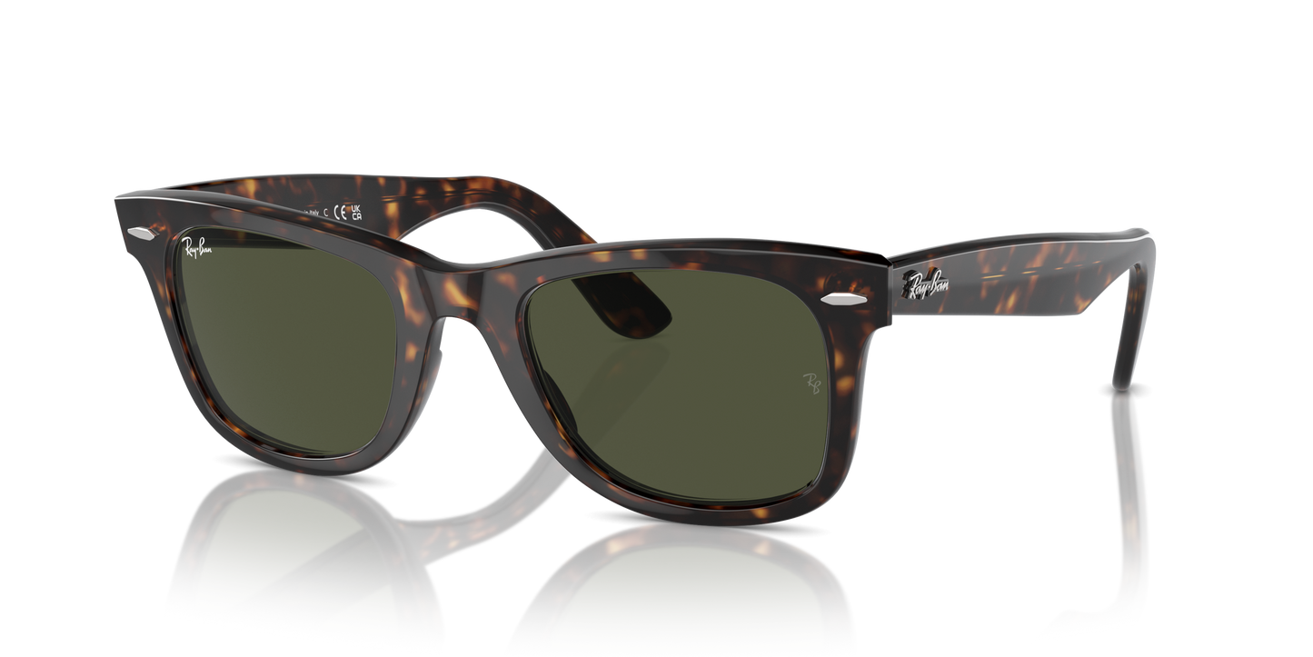 Rayban Wayfarer